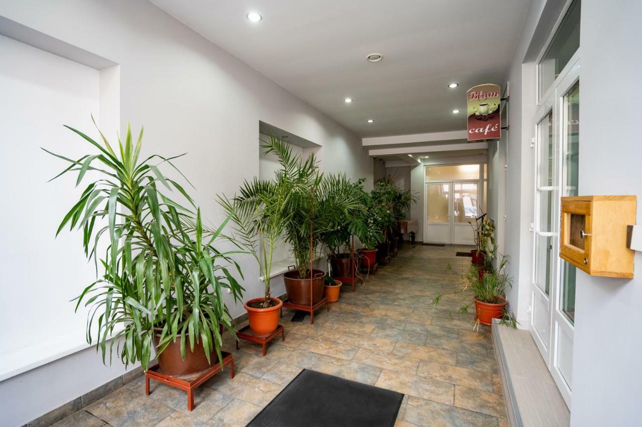 Hotel Casa Blum Lugoj Zewnętrze zdjęcie
